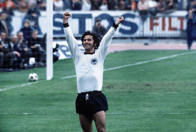 的鲜明对照 的鲜明对照